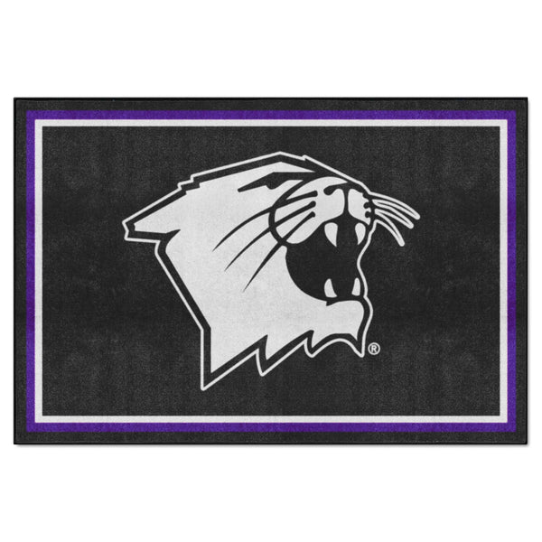 Northwestern University 5x8 Rug